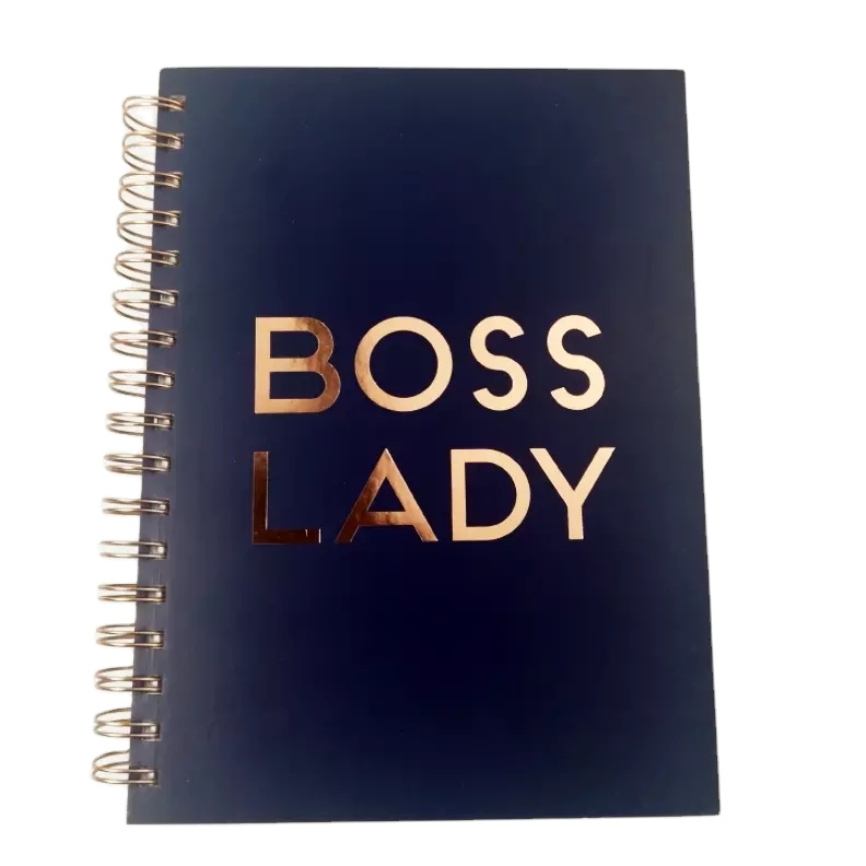 Custom Cheap Price Spiral Notebook Girl Boss Business Planner And Budget Planner Printing Journal Daily Planner - 副本